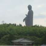 Ami Gorufu Kurabu Resutoran - 牛久大仏が見えます