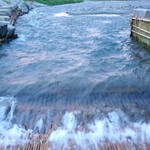 寒井観光余一やな - やな