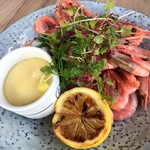 Gammelhavn　hav&bøf - 前菜