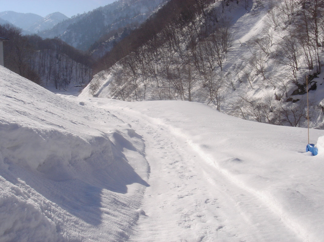 秘境の宿 雪あかり name=