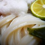 Gokuraku Udon Thi- Ke-Yu- - 麺はエッジが立って、なかなかのコシ