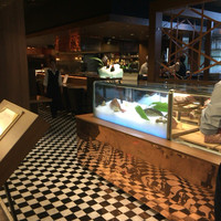 美食米門  品川港南 WINE&GRILL - 