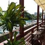 福菱 Kagerou Cafe - 今度来たらテラス席ね♫