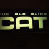 The Old Blind CAT