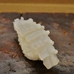 鮨 泰蔵 - 剣先イカ