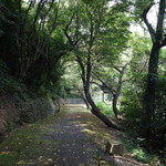 時の回廊 - 時の回廊さん南側斜面を登ると．．．