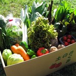 おやさいガーデンTIERRA - 