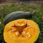 おやさいガーデンTIERRA - 