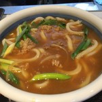 つる一製麺 - とり天カレーうどん（大）３辛　うどんアップ