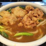 Sanukiudontsuruichiseimen - とり天カレーうどん（大）３辛にとり天をダイブ！