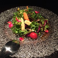 MAIMON GINZA - 