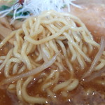 らーめん工房 胡山 - 麺