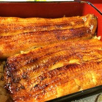 鰻割烹 伊豆栄 梅川亭 - 