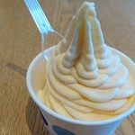 黄金桃 Photo of 2016