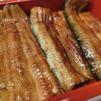 割烹 蒲焼 大沼 - 