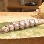 東麻布 天本 - 2016/9_水蝦蛄