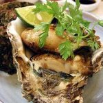 菖蒲 - 牡蠣
