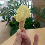 ジェラテリア アサツミ - 溶けててすみません。悪ノリで作ったミニミニコーン。