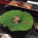 雅しゅとうとう - 