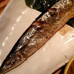 魚豊 - 新秋刀魚