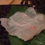 鮓 きずな - 熊本産アコウ（2ｋｇもの）