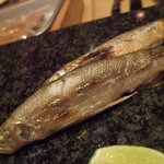 鮓 きずな - 北海道産ししゃも