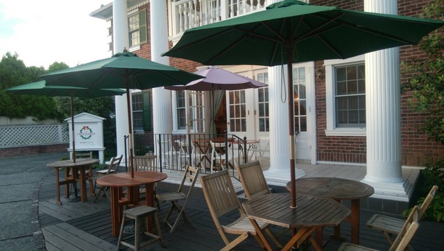 Christmas Tei photo 5