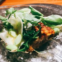 TACUBO - 