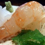 酒盃 - ぼたんえびです。