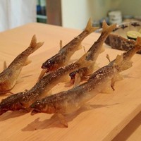 青華こばやし - 鮎の塩焼き群