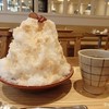 Cafe ココノハ 河原町OPA店