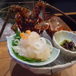 平花とんぼ - 伊勢海老のお造り