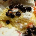 HUMMING BIRD by VERY FANCY KOKURA - とろけるよ