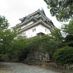 銀平 - 和歌山城（天守閣）