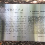 Aburuboa - 忠犬ハチ公と上野博士の像