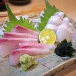 わだ津 - ひらめ、かんぱち