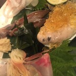 さかなや　いぬい - 