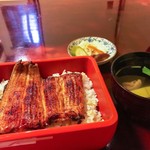 Unagi Hanabishi - 1000円代のうな重としては嬉しいボリューム感