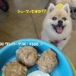 DOG DEPT.+CAFE Karuizawapurinsuten - [DOG MENU]DOG ワンバーグ(M)♨