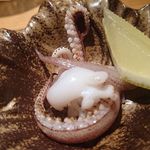 鈴しろ - (9/7)白イカゲソ炙り