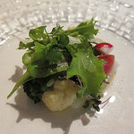 アオリイカのカルパッチョサラダ仕立て