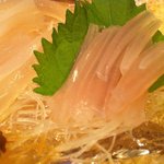 函館番屋ひとし - 活イカ（函館産）