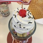 SWENSEN'S - 