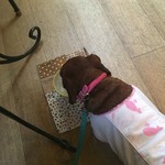 Cafe ＆ Gallery  Roomer - 