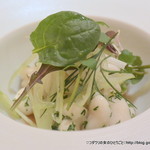 カンテサンス - 