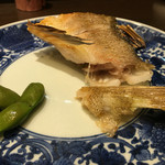 う越貞 - 八幡浜のしらかわ　3k　釣