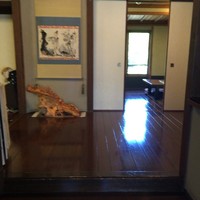 創作中華 一之船入 - 内観１階