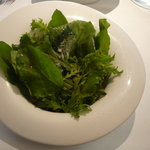 本日の野菜たち