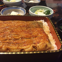 五代目 野田岩 麻布飯倉本店 - 鰻重 萩
