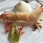 サーラ アマービレ - 